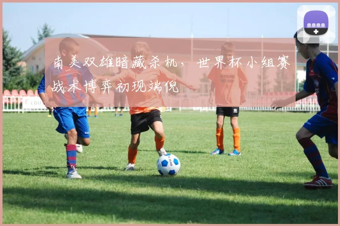 南美双雄暗藏杀机，世界杯小组赛战术博弈初现端倪