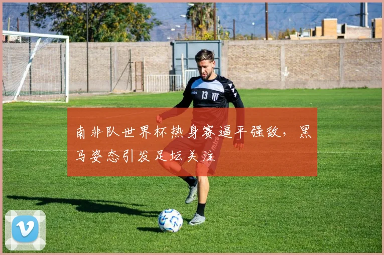南非队世界杯热身赛逼平强敌，黑马姿态引发足坛关注